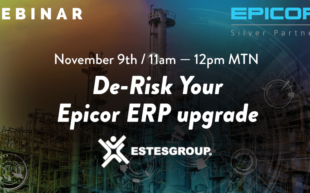 Epicor ERP Data Management Tool, The Tool That Keeps On Giving