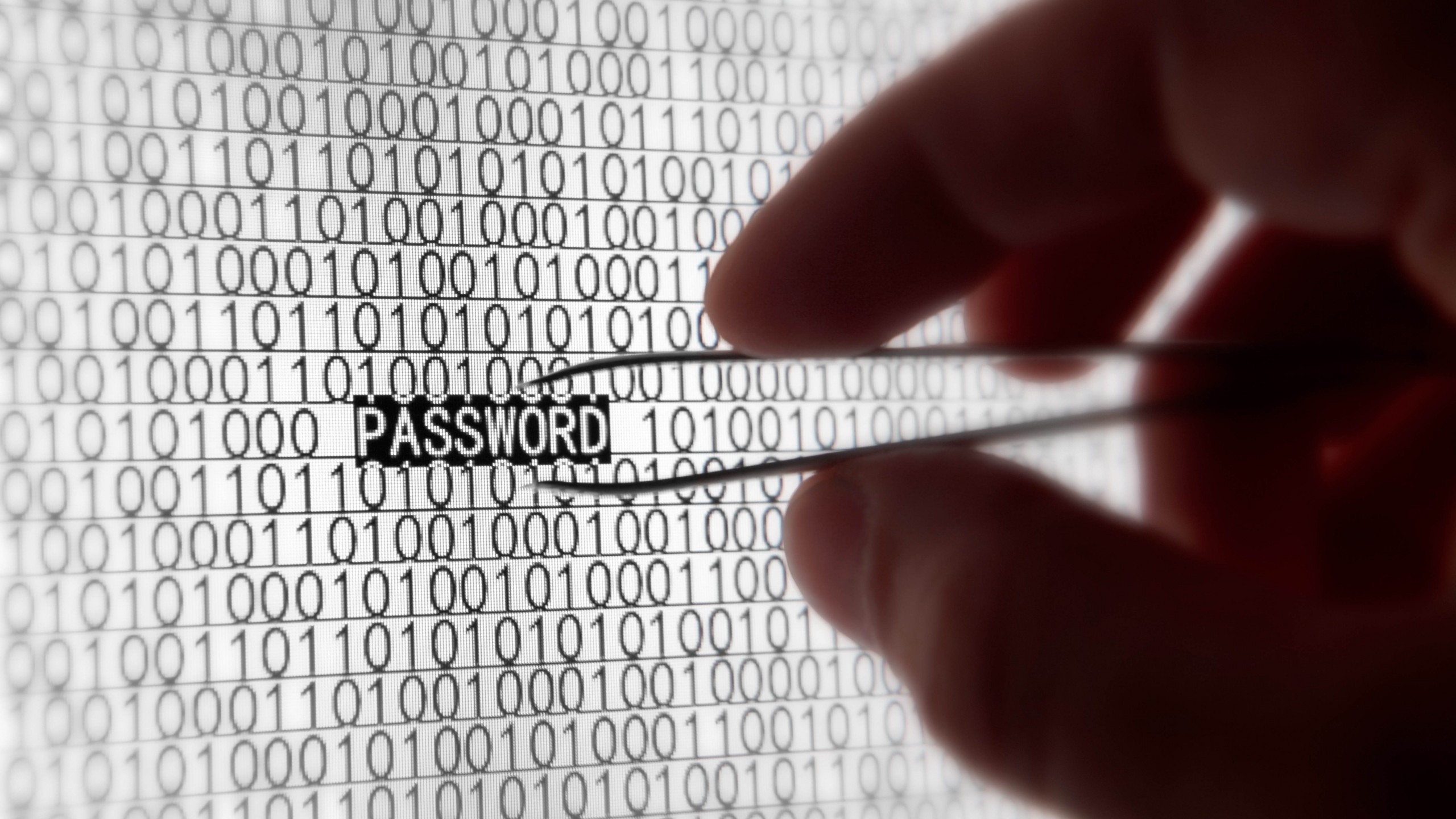 How You Can Strengthen Your Network and Security with Passwords