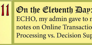 12 Days of ECHO, Eleventh Day: My Admin Gave to Me, notes on Online Transaction Processing vs. Decision Support!