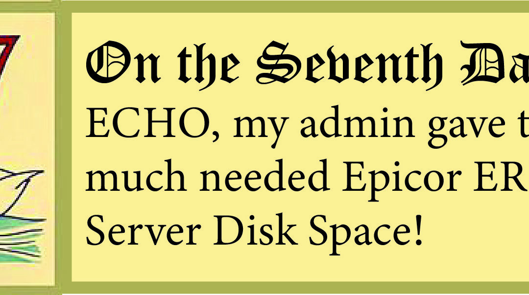 12 Days of ECHO, Seventh Day: My Admin Gave to Me, Tips on Epicor ERP 10 Server Disk Space!