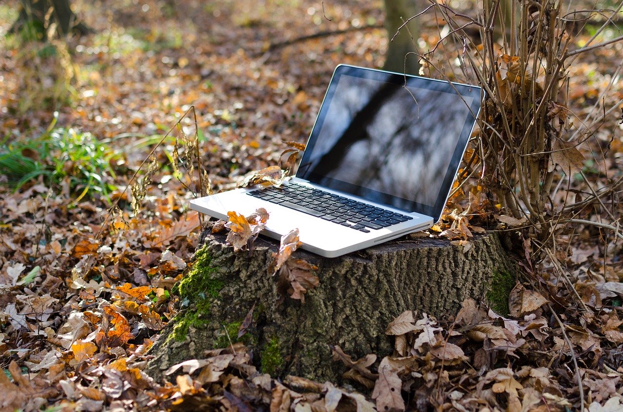 Into the Woods Ways to Secure Remote Workers Ways to Secure Remote Workers