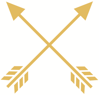 Golden Arrows Golden arrows symbolizing the power of leadership as a differentiator