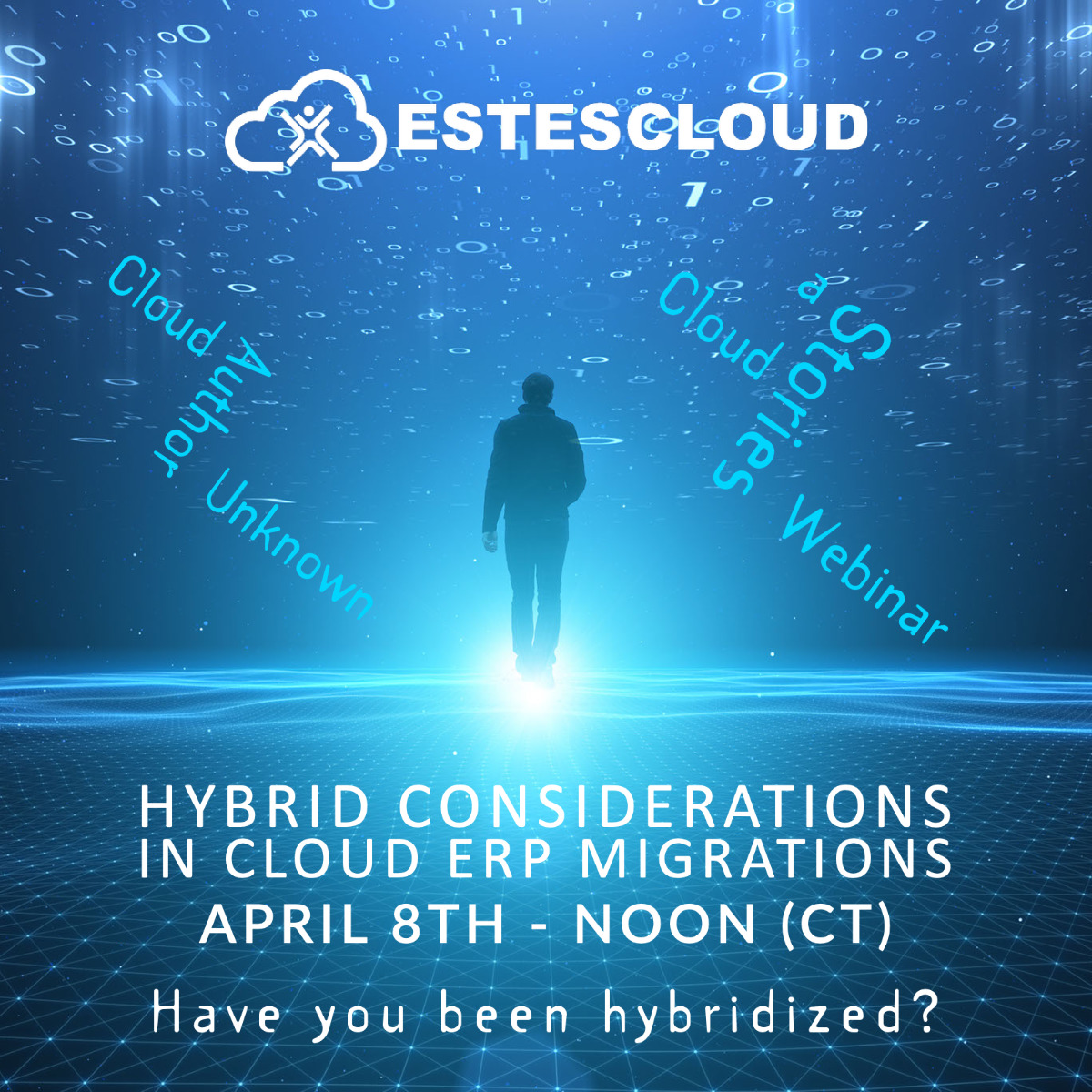 Hybrid Cloud Considerations ERP