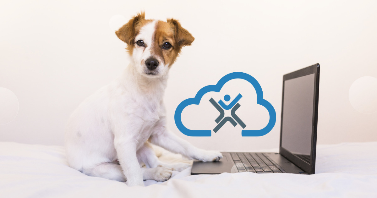 ChatGPT Security EstesCloud ChatGPT Security EstesCloud
