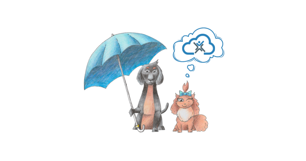 EstesCloud Managed Hosting EstesCloud Managed Hosting Data Dogs