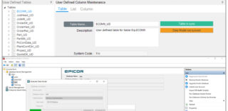 Overcoming Epicor Cutover Challenges: A Tale of Cryptic Errors