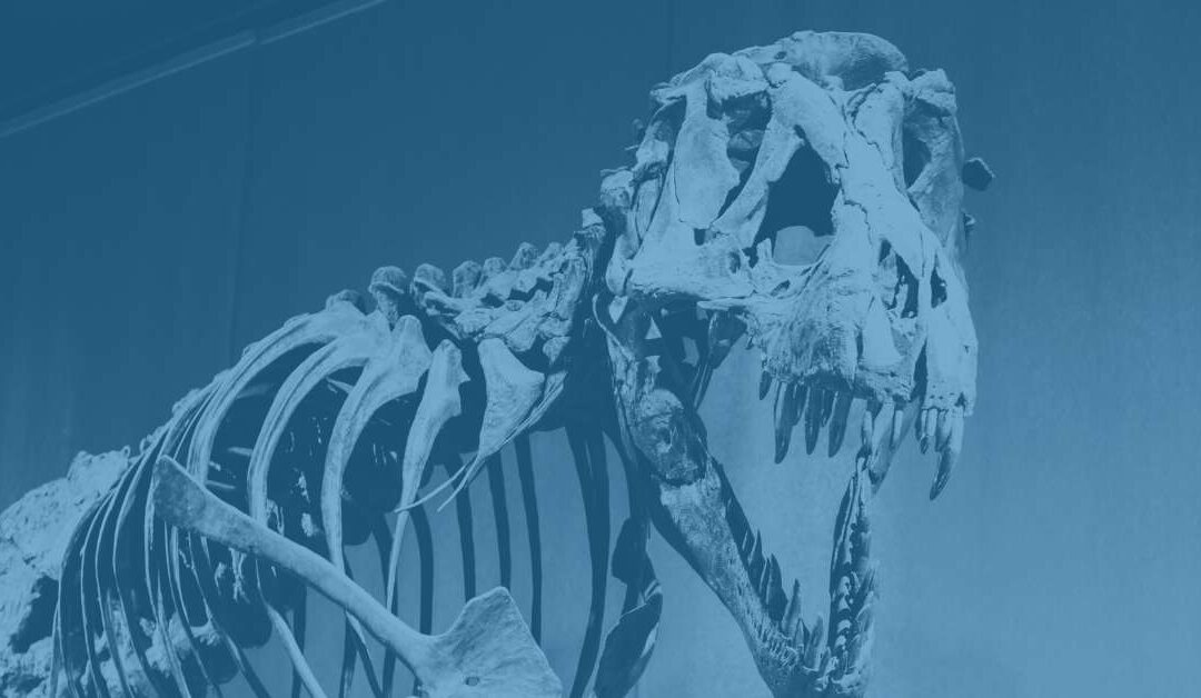 Your ERP Migration Is an Archaeological Dig, Not a Data Transfer