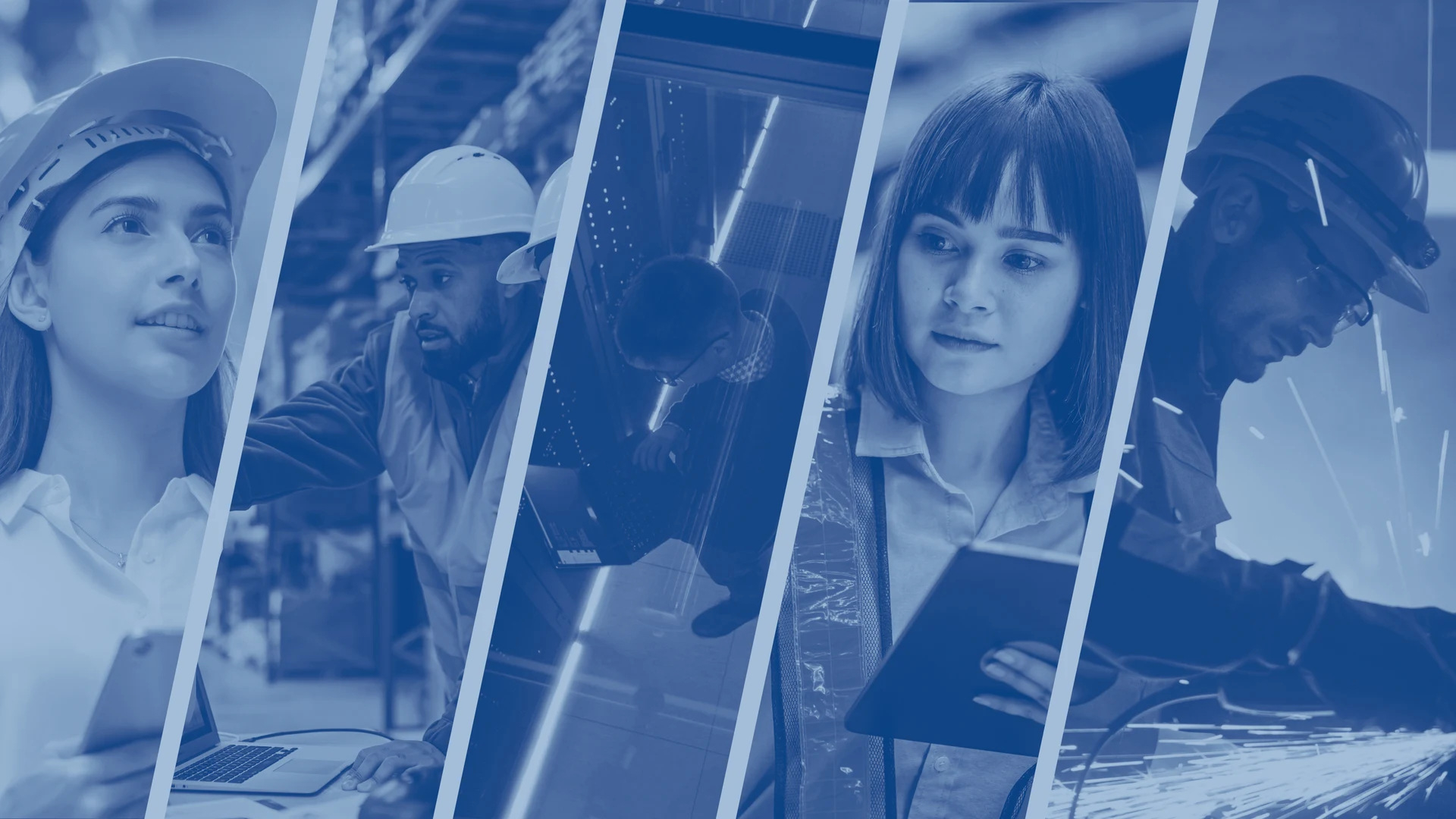 Professionals across distribution, manufacturing, and engineering using ERP-driven systems in warehouse, production, and technical environments